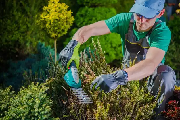 landscaping services Waynesfield